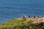 coast picture